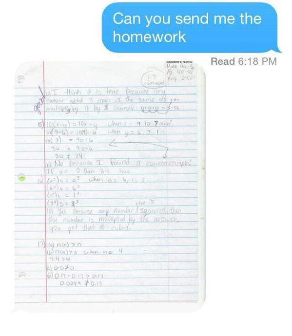 Fake homework file